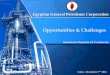 Opportunities & Challenges - AmCham Egypt Inc · 2015-05-12 · LPG/ Propane / Sulphur/ Sales Gas/ Condensate Investment Cost $ 60 MM Expected at 2016 Assiut Refining Co. Vapour Recovery