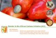 African Cashew Initiative - Welcome - Competitive Cashew ...afrika.brainbooking.com/files/files/gender_in_aci.pdfAfrican cashew has a high poverty-reducing potential, especially for