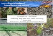Forests For Tomorrow Seedling Requests and Seed Planning · Administers all of the seedling production on behalf of BCTS, FFT and FSMF Sets the deadlines for seedling request entry