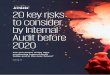 20 key risks to consider by Internal Audit before 2020 · traditional annual audit plan, these audit plans are quite static, while a more dynamic risk assessment and audit planning