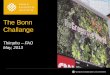 The Bonn Challange - APAFRIapafri.org/activities/Bhutan2013/bhutan/presentation/m7 d - restoration and bonn...Regeneration • TIST - Small Group Tree Planting • Tree Planting Failures
