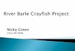 River Barle Crayfish Survey - IFM...Based on the River Barle in Exmoor National Park Signal crayfish have colonised 15km of the SSSI Major risk to the SSSI, salmonids and the river’s