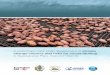 Climate change impacts cocoa farming Solomons WEB · 2018-04-06 · Climate change impacts and risks for cocoa farming in Guadalcanal Plain, Solomon Islands 5 Process overview This