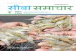 अंक संखया 3 जनवर - ज् ून 2017 सीबा समाचार issue 3 Hindi.pdf · गया जहां 72-78 दन क पालन अव ध