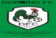 DORKING FC - Pitcherofiles.pitchero.com/clubs/18447/24.11.15eversleycalifornia_154376.pdf · Welcome to Dorking FC and The New Defence, our home ground for the 2015/16 season. I would