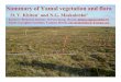 Summary of Yamal vegetation and flora · Yamal’s flora is the youngest regional flora of the Arctic, vegetation cover existing there in Pliocene was completely destroyed by Yamal
