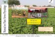 Stress - Indian Grassland and Fodder Research Institute · Scientist (Plant Physiology) Division of Seed Technology, IGFRI, Jhansi (UP), India Edna Antony Sr. Scientist (Plant Physiology)