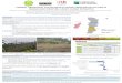 FARMERS’ GREENHOUSE GAS ALANES IN DIVERSE … · carbon sinks in the soil and the biomass improving GHG balance of smallholder farms. 4th World Congress of Agroforestry- France