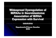 Widespread Dysregulation ofWidespread Dysregulation of …crdi.ie/uploads/IsabellaBray_RCSI [Compatibility Mode](1... · 2017-09-25 · microRNA zMt i RNAMature microRNAs are Biogenesis: