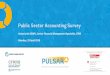 Public Sector Accounting Survey - pulsarprogram.org Sector... · The Questionnaire For the launch event last year we conducted a similar exercise This questionnaire will comprise