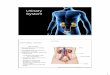 Urinary System - Western Oregon Universitywou.edu/~lemastm/Teaching/BI336/Unit 3 - Urinary System (2).pdfUrinary System Functional Anatomy - Kidney: Cortex Medulla Loop of Henle Marieb