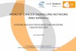 ATLAS OF CANCER SIGNALLING NETWORK AND NAVICELL · 2017-10-26 · “Computational Systems Biology of Cancer” U900 Institut Curie/INSERM/Ecoledes Mines ParisTech, Paris, France