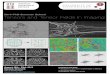 Tensors and Tensor Fields in Imaging · Tensors and Tensor Fields in Imaging August 18th - 23rd, 2013 Marstal, Denmark ... for the topology-based visualization of vector ﬁelds [12,