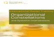 International Master Training Organizational Constellations · • Is able to perform a good constellation, even in teams that are divided. • Has an eye for the systemic perspective