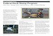 U.S. Fish & Wildlife Service Federal Duck Stamp Program · 2019-09-17 · U.S. Fish & Wildlife Service. Federal Duck Stamp Program. Put Your Stamp on Conservation... Buy a Duck Stamp