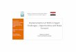 Implementation of SEEA in Egypt - Challenges, Opportunites ... · Implementation of SEEA in Egypt: Challenges , Opportunities and Steps Forward MahmoudSarhan Environmental Economist