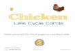 Chicken Life Cycle - Pre-K Pages...Chicken Life Cycle Author Pre-K Pages Subject farm Keywords farm, chicken Created Date 3/20/2015 10:48:50 PM 