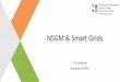 NSGM & Smart Gridscbs.teriin.org/pdf/S-2-04-NSGM-AK-Mishra.pdfNSGM Support for Smart Grids •Funding of projects (up to 30%) •Assistance in formulation of projects including •pre-feasibility
