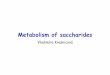 Metabolism of saccharidesvyuka-data.lf3.cuni.cz/CVSE1M0001/vk_mtb_saccharides_seminar(52a1e72ea7d99).pdfThe figure was accepted from Devlin, T. M. (editor): Textbook of Biochemistry
