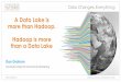 A Data Lake is more than Hadoop. Hadoop is more than a Data Lake · 2016-08-30 · • To get their job done, users abscond with data daily •Bypass IT, governance, and security