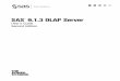 SAS 9.1.3 OLAP Server...v What’s New Overview The SAS OLAP Server enables users to develop and deploy scalable Online Analytical Processing (OLAP) applications. In addition, automated