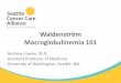 Waldenström Macroglobulinemia 101 - Seattle Cancer Care ......and Waldenström Macroglobulinemia • Lymphoplasmacytic lymphoma (LPL) – Neoplasm of small B lymphocytes, plasmacytoid