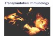 Transplantation Immunology - Rajiv Gandhi College of ... YEAR/TISSUE ENGINEERING/Unit 4.pdf · Transplantation Immunology rqd background understanding MHC antigen processing and presentation