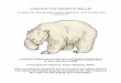 GHOST OF Spirit Bear...GHOST OF Spirit Bear literature-based Peace4Kids and Families lessons Lessons developed for use with the novel Ghost of Spirit Bear by Ben Mikaelsen (2008) See