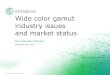 Wide color gamut industry issues and market status€¦ · the fluorescent materials used on AMOLED panels for mobile applications, phosphorescent materials with higher light emitting