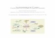 Tree biotechnology in the 21st century: Transforming trees in the … · 2017-09-29 · Tree biotechnology in the 21st century: ... polygenic, and incremental breeding for basic productivity
