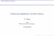 Advanced algebraic number theory - PARI/GP · 2018-04-15 · Advanced algebraic number theory polgalois We can compute the Galois group of the Galois closure of a number ﬁeld, as