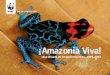 Amazon Alive juan-edited4 FINAL doble pag · das en el mundo y una de cada 5 especies de aves. El bosque lluvioso de la Amazonia sostiene la mayor diversidad de especies de plantas