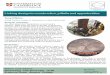 Linking design to construction, pitfalls and opportunities · of professional committees and providing industry guidance, including CIRIA guides and the ICE Manual of Geotechnical