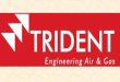 Trident- Nitrogen Generator supplier