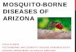 Mosquito-borne Disease of Arizona...• Aedes spp. • Mosquito-human-mosquito-human cycle . First appeared in western hemisphere in December, 2013 • Since then has caused a huge