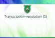 Transcription-regulation (1) · 2018-08-11 · Molecular Biology (7) Transcription-Regulation Mamoun Ahram, PhD Second semester, 2017-2018 2. The lac operon 3. ... represses the lac