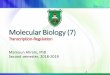 Molecular Biology (7) - JU Medicine · 2019-02-20 · Molecular Biology (7) Transcription-Regulation Mamoun Ahram, PhD Second semester, 2018-2019 1. The lac operon 2. Metabolism of