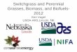 Switchgrass and Perennial Grasses, Biomass, and Energy... 2007 Energy Independence and Security Act