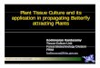 Plant Tissue Culture and itsPlant Tissue Culture and its ... Plant Tissue Culture and itsPlant Tissue