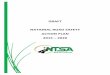 DRAFT NATIONAL ROAD SAFETY ACTION PLANntsa.go.ke/docs/DRAFT NATIONAL ROAD SAFETY ACTION... · vii. establish systems and procedures for, and oversee the training, testing and licensing