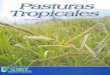 Volumen No. 1 - Tropical Grasslands-Forrajes Tropicalestropicalgrasslands.info/public/journals/4/Elements/... · usuarios, que en el momento tiene una audiencia de más de 100.000