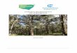 Londonderry Woodland Reserve Plan of Management · Nature Reserves. This reserve is a vital remnant of mature native vegetation and includes a riparian corridor, the ... Introduction