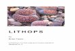 LITHOPS - Au Cactus Francophone · More than 100 years elapsed before Lithops was rediscovered in 1918 by Dr Pole Evans in the same area—after he had searched a whole week for it