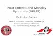 Poult Enteritis and Mortality Syndrome (PEMS)Poult Enteritis and Mortality Syndrome (PEMS) Dr. H. John Barnes Dept. of Population Health and Pathobiology College of Veterinary Medicine