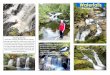 Waterfalls - WordPress.com...Waterfalls & cascades -around Gloucester & arrington Tops The pure waters of arrington Tops tumble off the high volcanic plateau not in dramatic single-drop