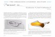 GaussCurvature? - American Mathematical Society · 2016-01-05 · THE GRADUATE STUDENT SECTION WHAT IS... GaussCurvature? Editors Gaussian curvature is a curvature intrinsic to a