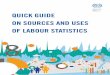 QUICK GUIDE ON SOURCES AND USES OF LABOUR STATISTICS · market, from many perspectives and covering many dimensions. The following sections explore in detail these main characteristics