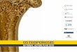 OSTEOPOROSIS - ANZBMS...While the Osteoporosis National Action Plan Working Group endeavours to provide reliable data and analysis and believes the material it presents is accurate,