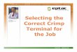 Selecting the Correct Crimp Terminal for the Job · Selecting the Correct Crimp Terminal for the Job . Processes for Crimping • Wire stripping • Selecting the correct terminal