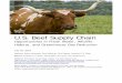 U.S. Beef Supply Chain - The Nature Conservancy · 2020-01-24 · the U.S. beef supply chain. The Conservancy assessed the main impacts of the U.S. beef supply chain, reviewing the
